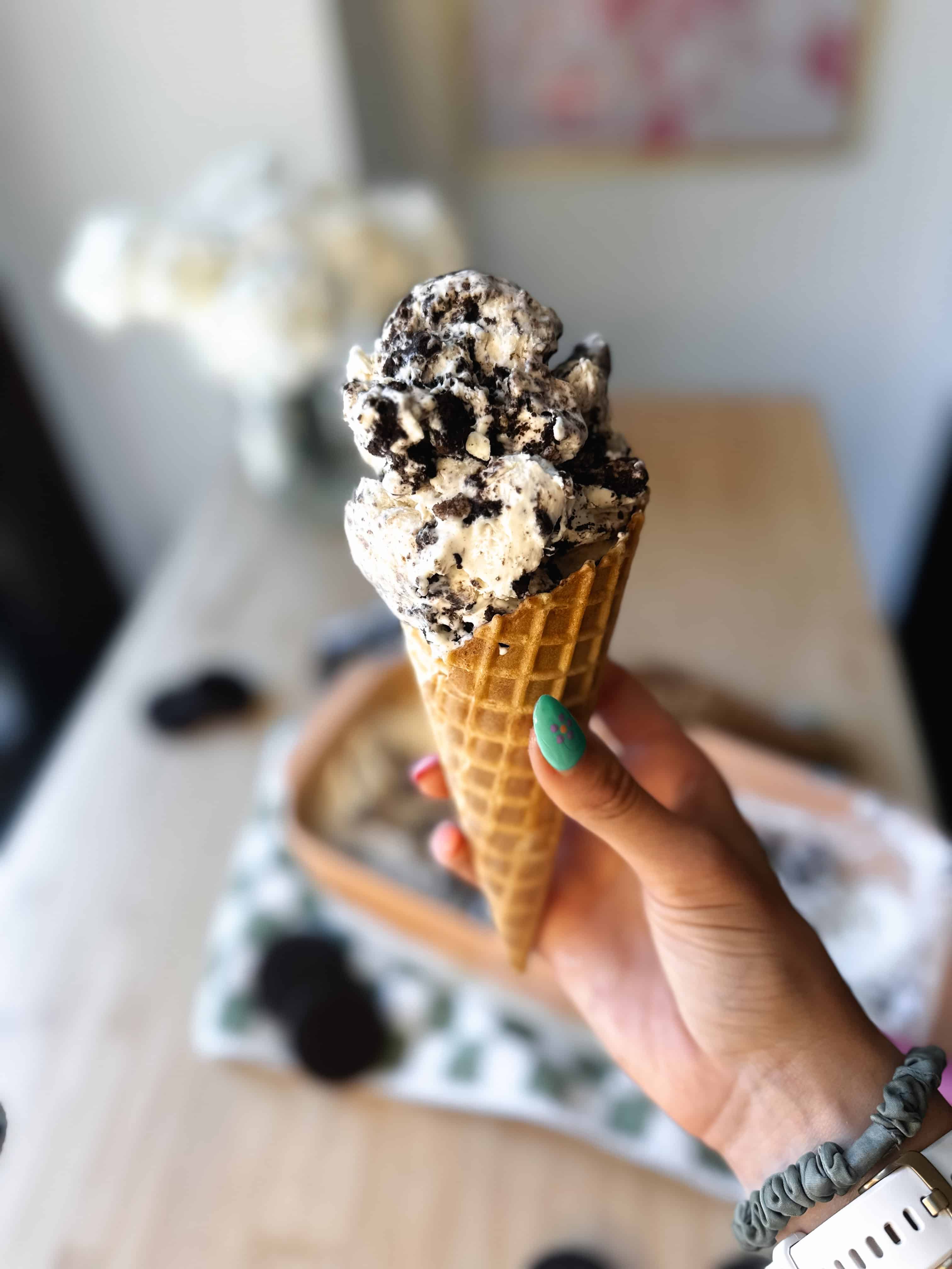 Four Ingredient No Churn Ice Cream Recipe