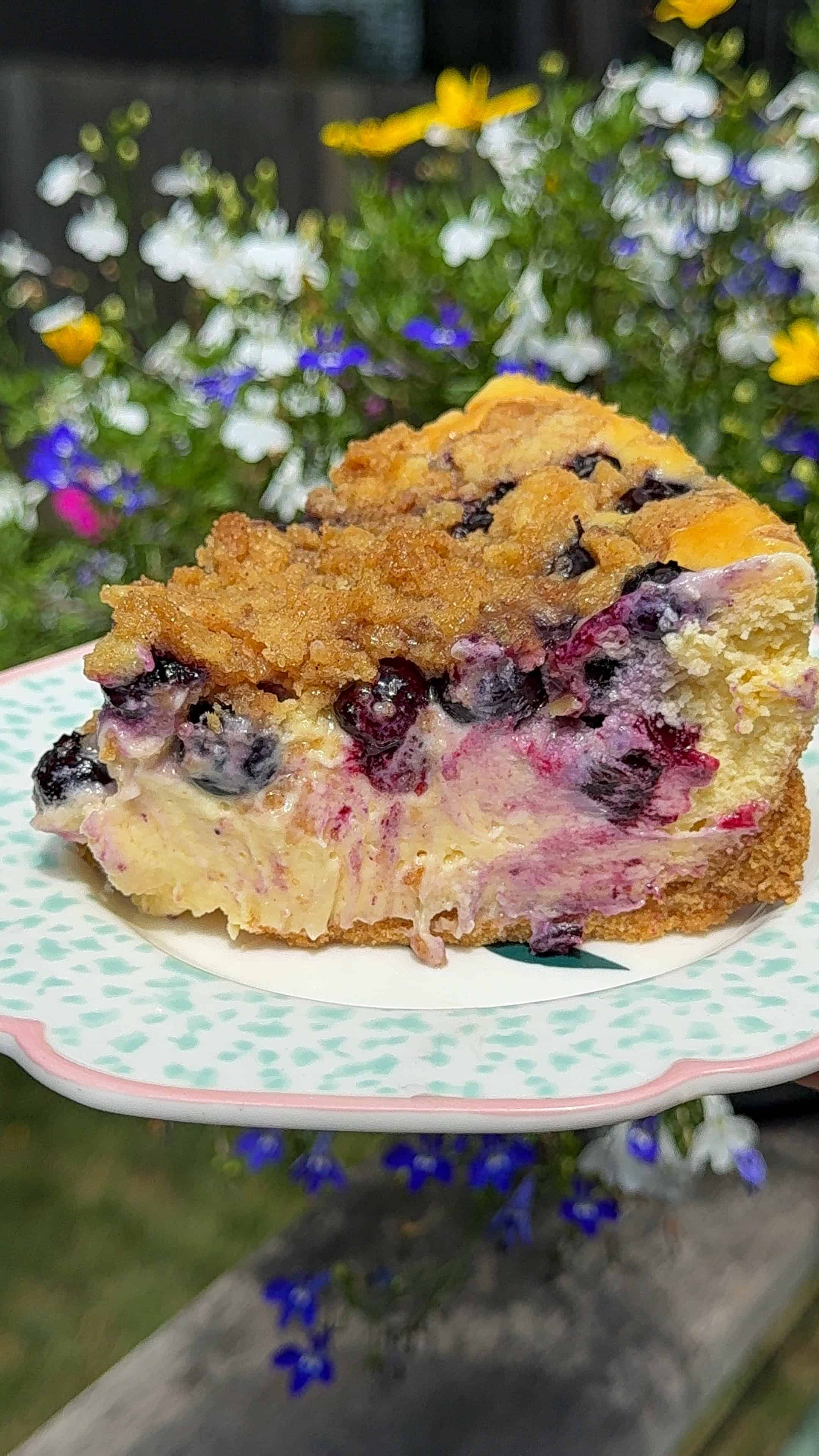 Blueberry Crumble Cheesecake